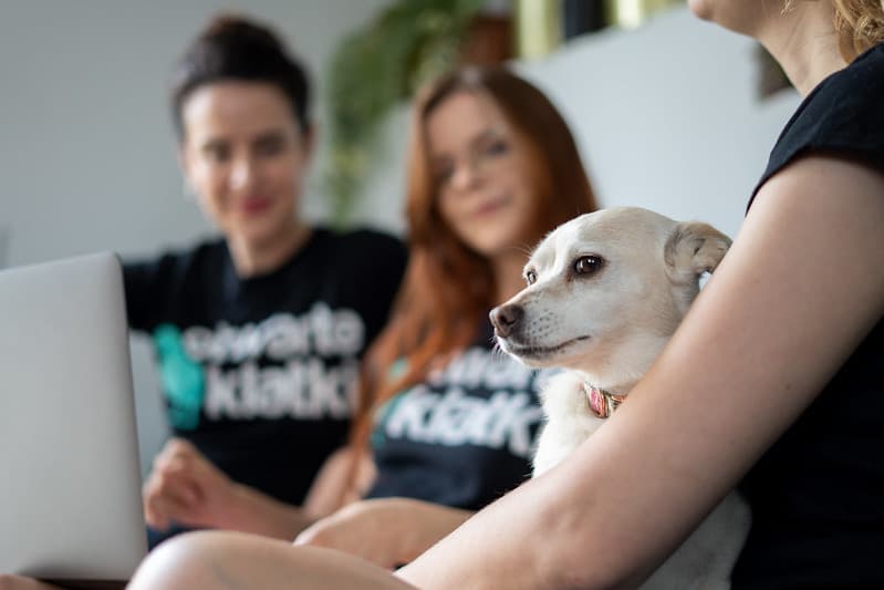 Trzy osoby pracujące wspólnie, jedna z nich przytula psa. Pies spogląda lekko podejrzliwie w kamerę.