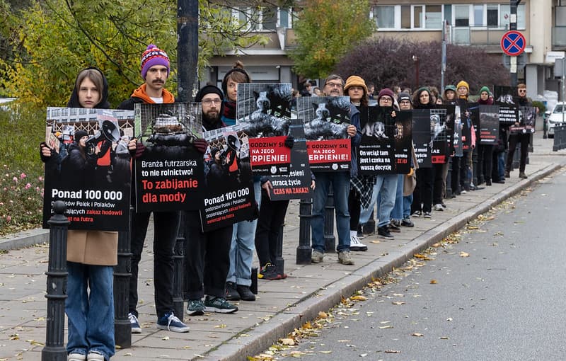 Duża grupa aktywistów protestuje pod Sejmem mimo zimnej pogody. Walczą o zakaz hodowli zwierząt na futra w Polsce.
