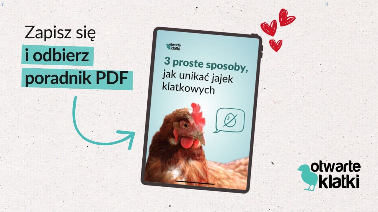 Zapisz się i odbierz poradnik PDF „3 proste sposoby, jak unikać jajek klatkowych”
