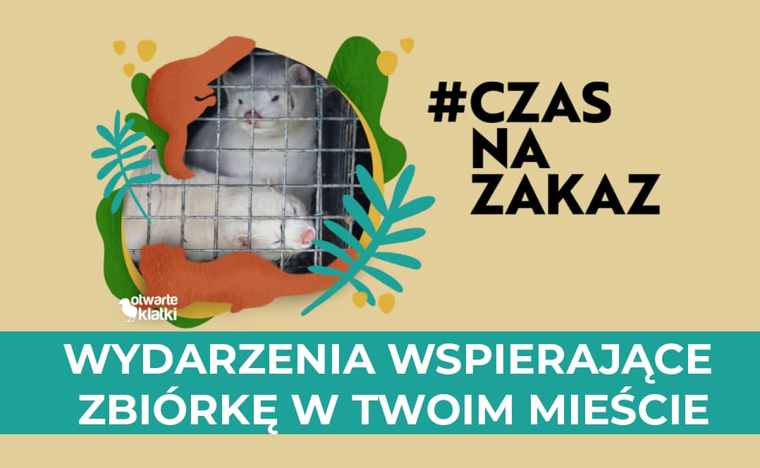 wydarzenia-wspierajace-zbiorke-czas-na-zakaz