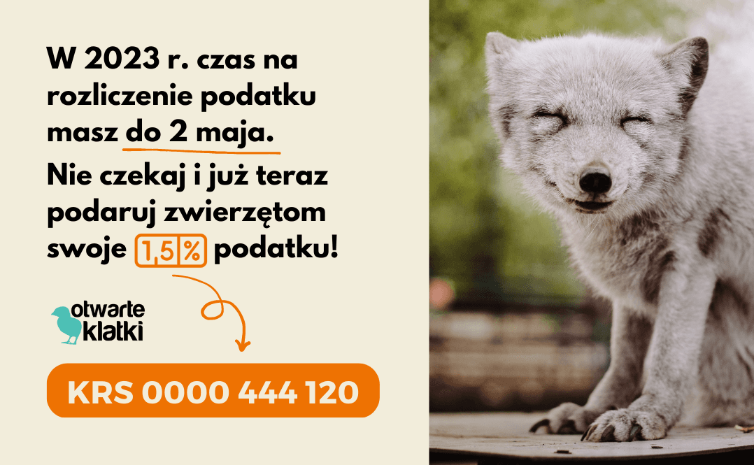 W 2023 r. czas na rozliczenie podatku masz do 2 maja. Nie czekaj i już teraz podaruj zwierzętom swoje 1,5% podatku! KRS Otwartych Klatek: 0000 444 120.